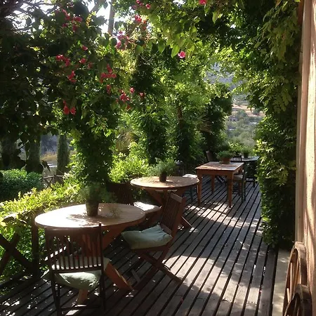 Retreat Cyprus 住宿加早餐酒店