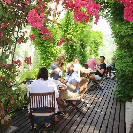 Retreat Cyprus 住宿加早餐酒店